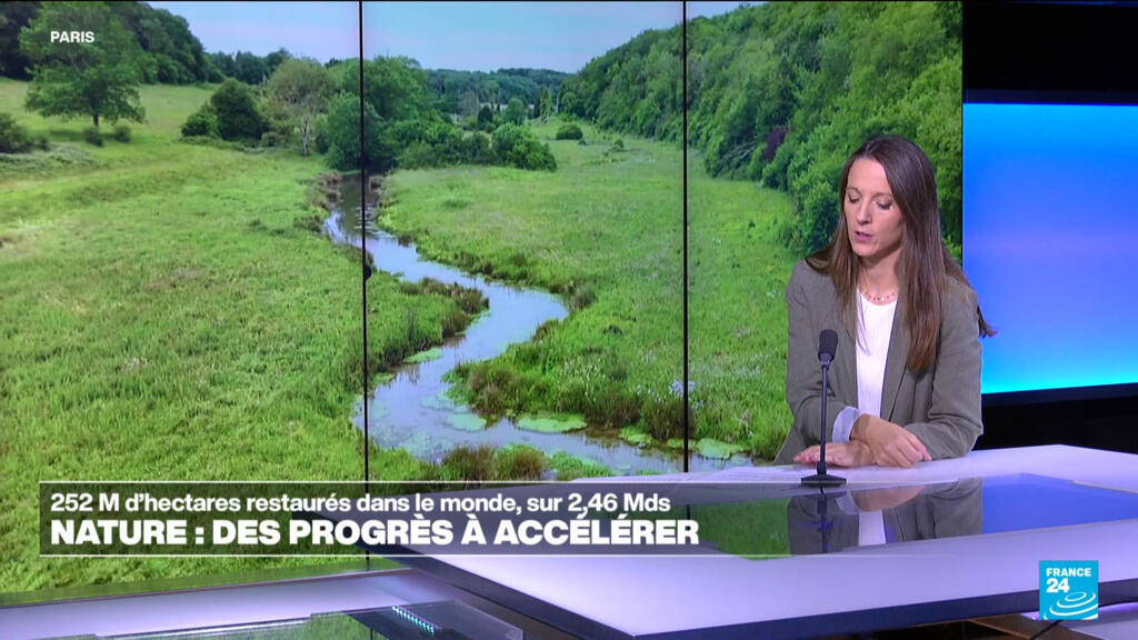 Restauration de la nature : l'ONU appelle le monde à accélérer les efforts