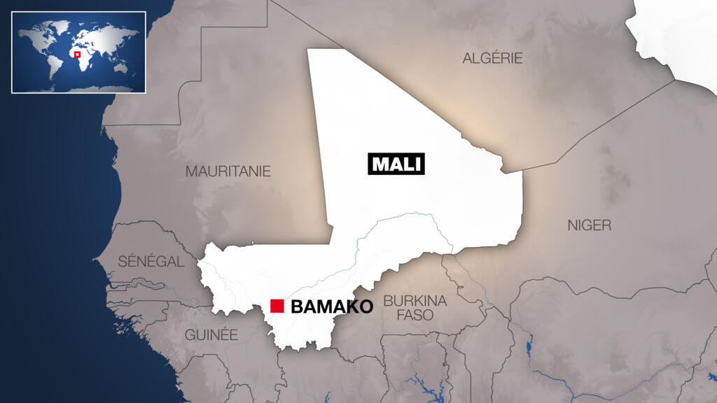 Mali: l'armée et l'Africa corps russe déciment plus de 200 têtes de bétail près de Diéma