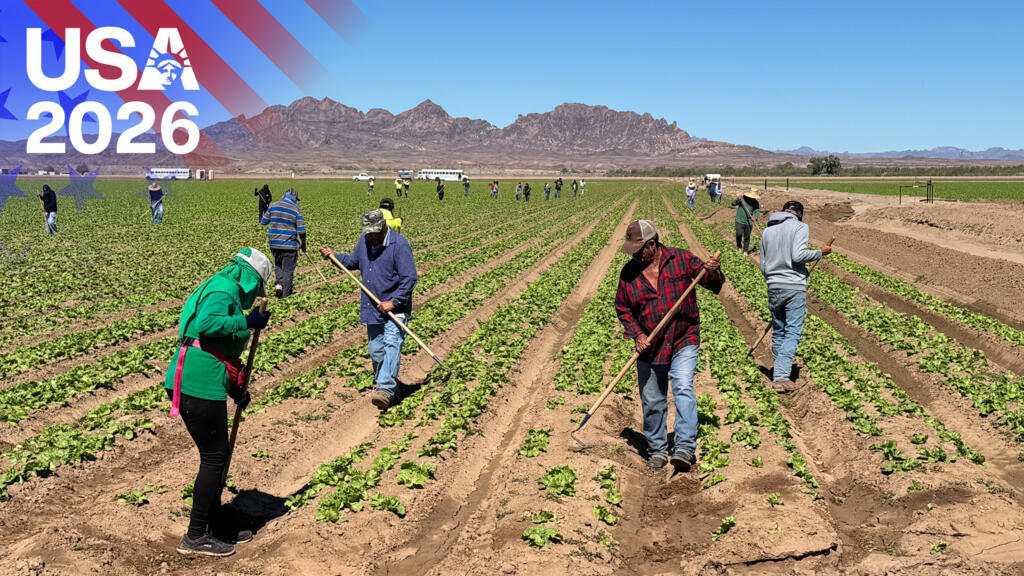 "La peur de passer la frontière" : en Arizona, une agriculture dépendante des travailleurs mexicains