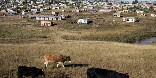 Cinquante ans après l’« indépendance » du Transkei, l’Afrique du Sud n’en a pas fini avec l’héritage des bantoustans