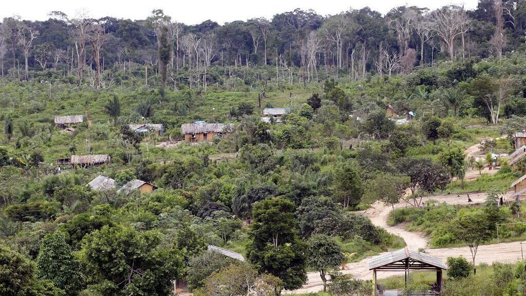 Présidentielle au Brésil : la déforestation, un enjeu majeur peu évoqué dans la campagne