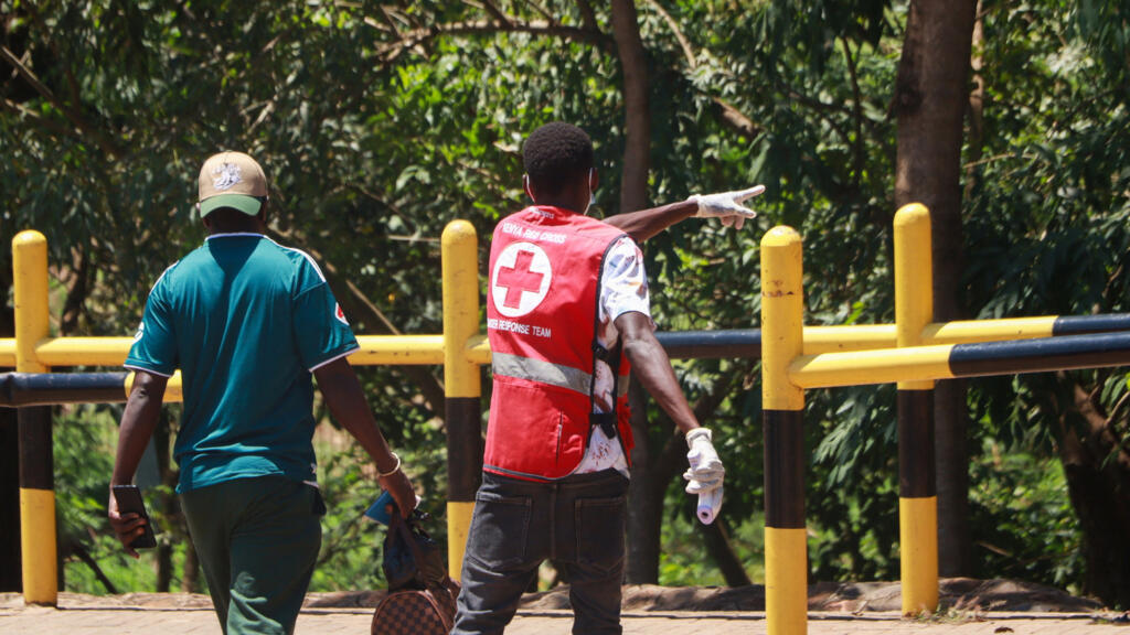 L'Afrique face à une épidémie complexe d'Ebola après sa propagation au Nigeria