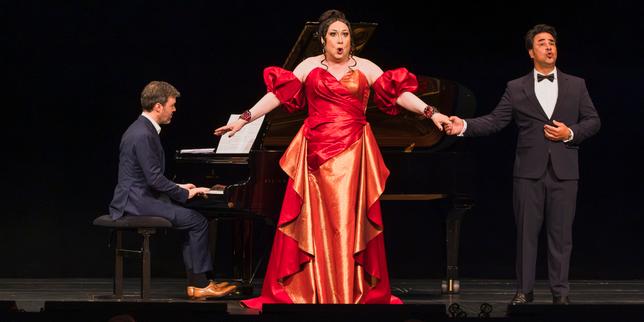 Dans « Concert très chic », Michel Fau incarne avec dinguerie une diva extravagante