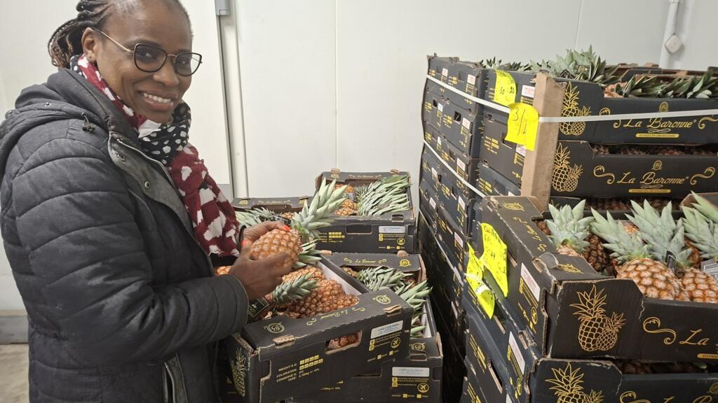 L'ananas pain de sucre béninois veut se faire une place à l’international