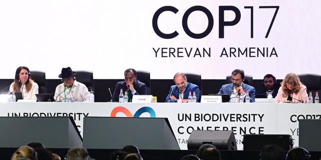 A la COP17 d’Erevan, malgré les divergences, les Etats s’entendent sur des textes pour tenter de protéger la nature