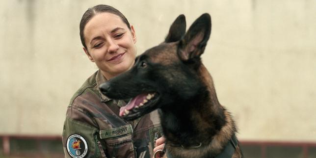Dans le Lot, un centre de formation de la gendarmerie pour les chiens d’élite