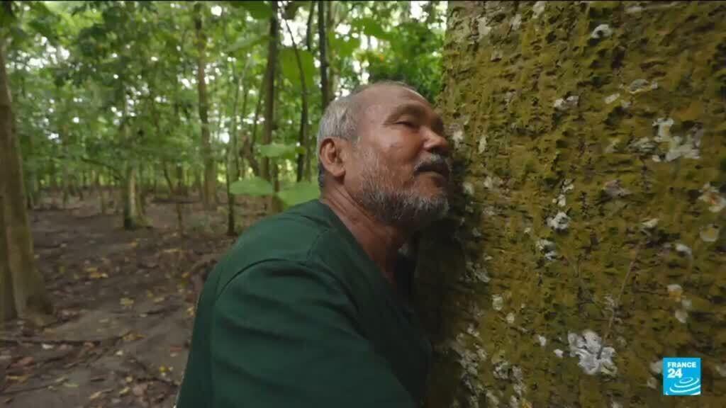 Inde : faire pousser une forêt pour protéger son île, le combat d'une vie