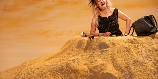 Théâtre, danse, cirque, comédie musicale, humour… Dix-huit spectacles à réserver en novembre